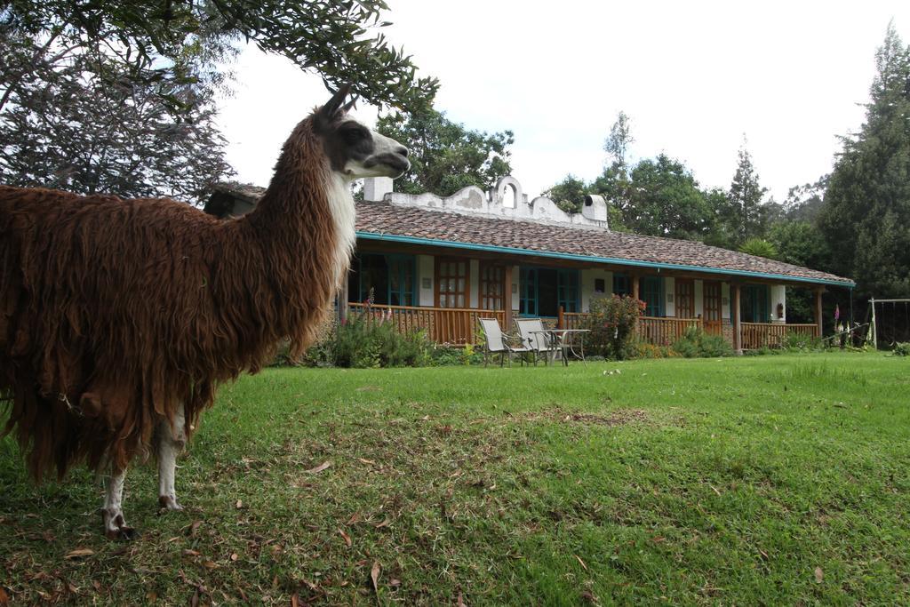 אוטהוואלו Las Palmeras Inn מראה חיצוני תמונה
