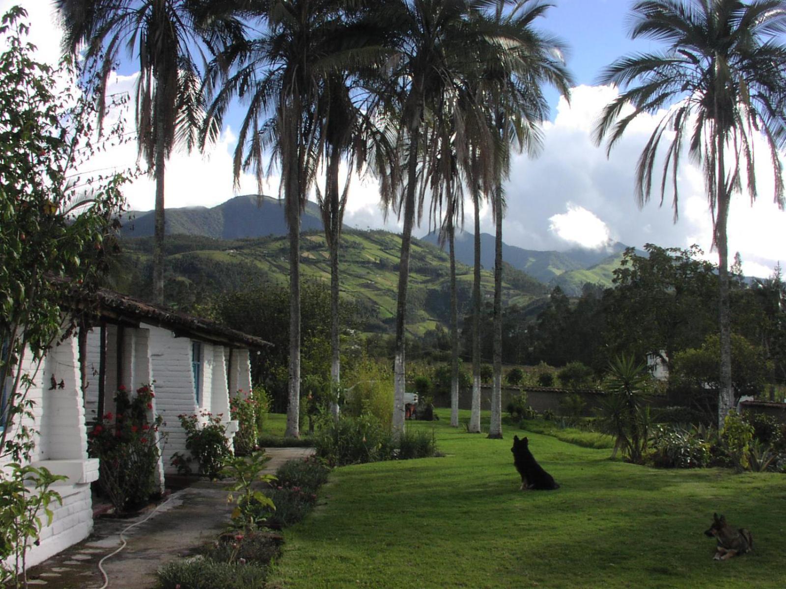 אוטהוואלו Las Palmeras Inn מראה חיצוני תמונה